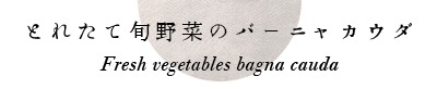 とれたて旬野菜